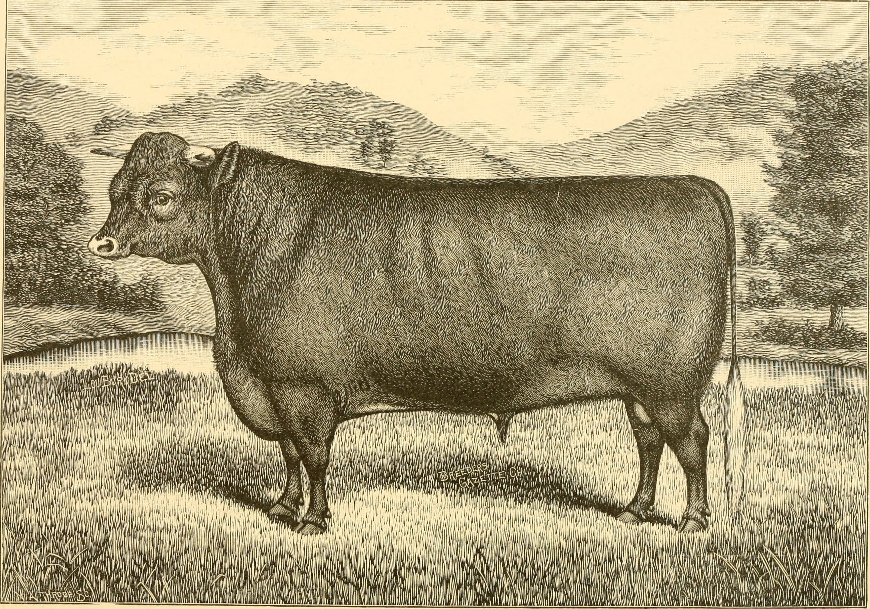 The breeds of live stock, and the principles of heredity (1887) (14594857267)