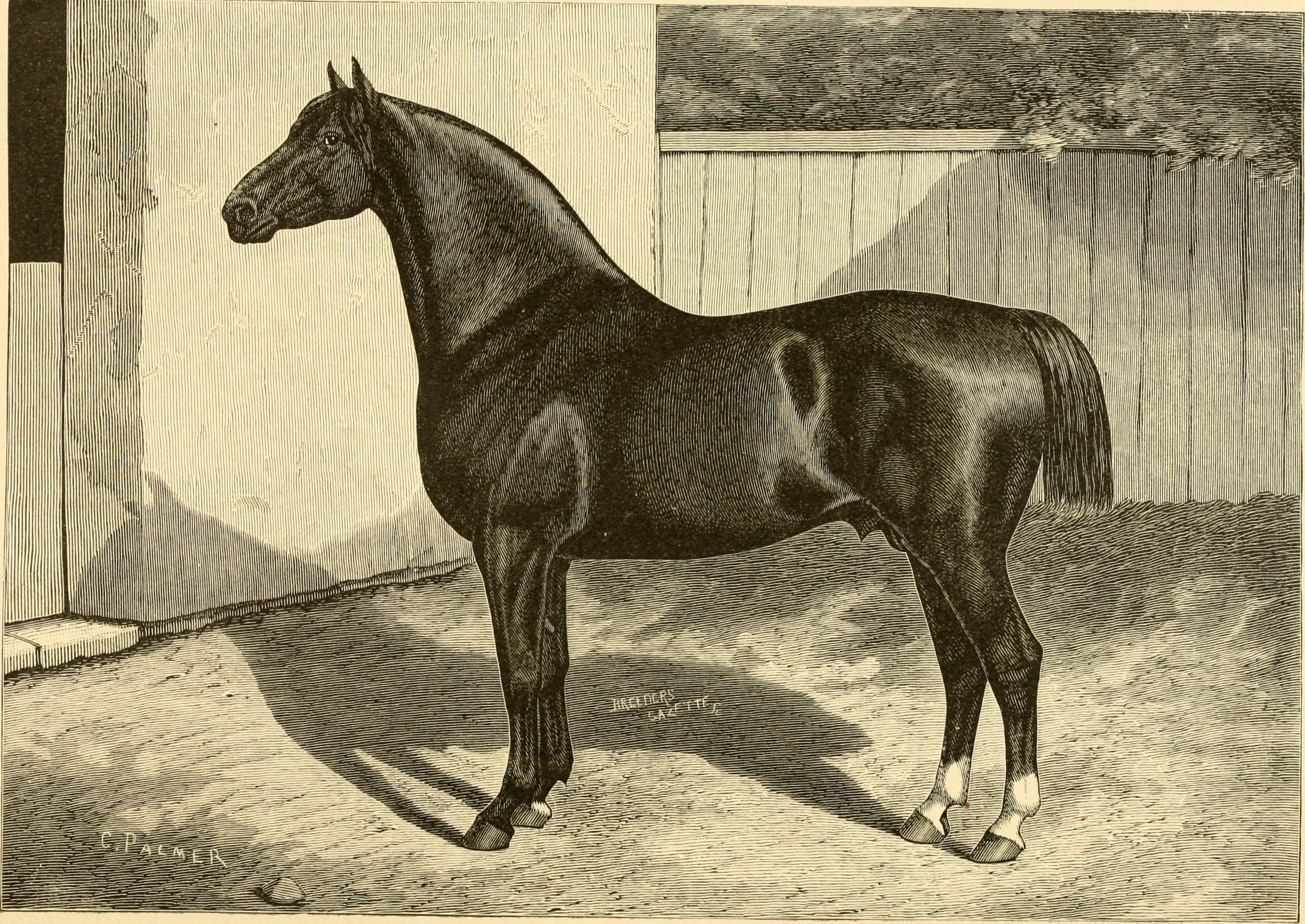 The breeds of live stock, and the principles of heredity (1887) (14758131436)