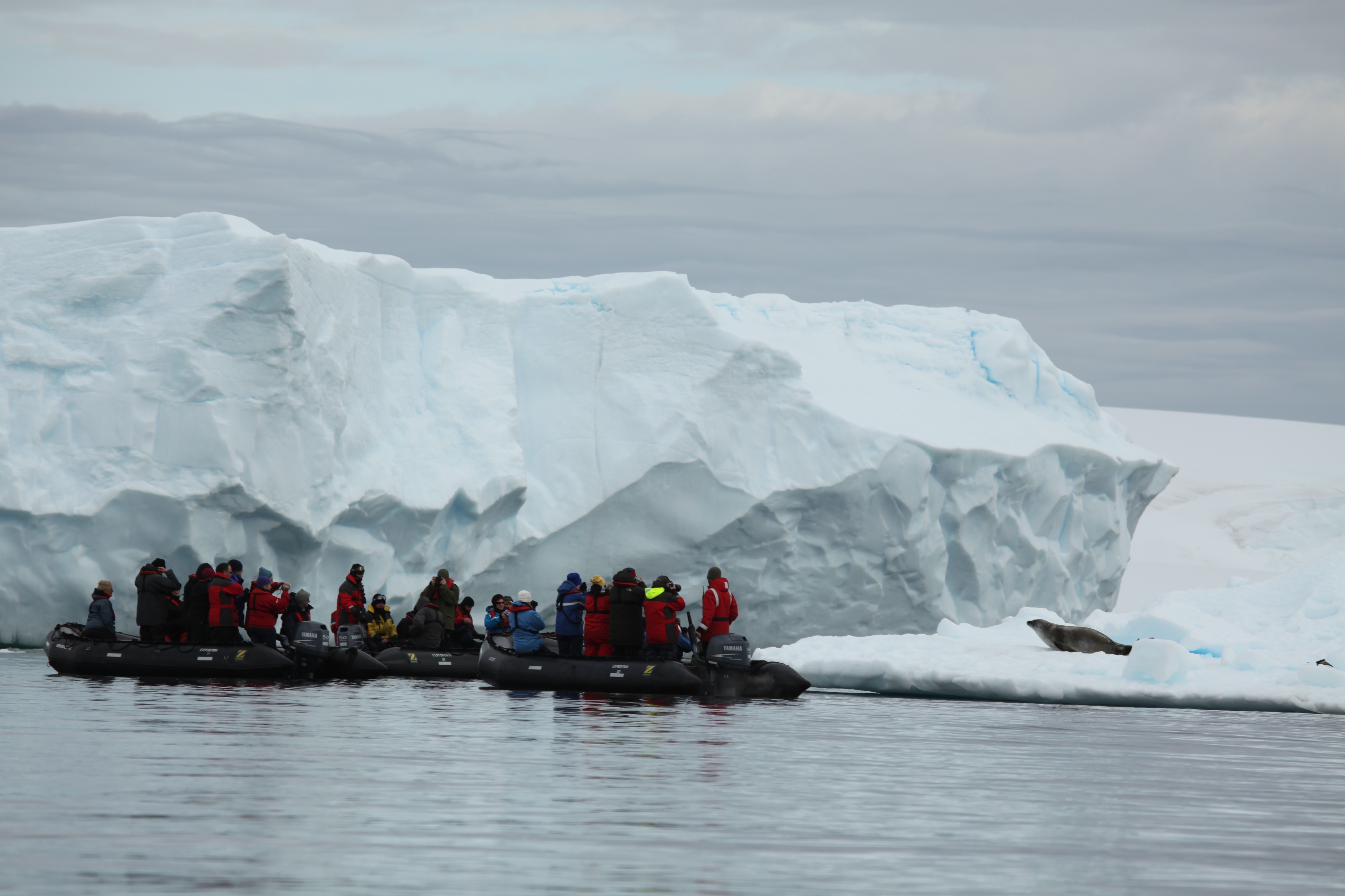 Zodiac cruising among icebergs and Crabeater Seals in Pléneau Bay, Antarctica (6059124560)