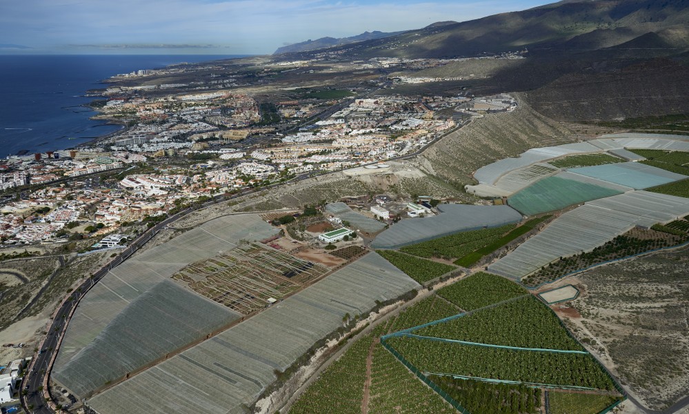 A0468 Tenerife, Banana plantations and Adeje aerial view