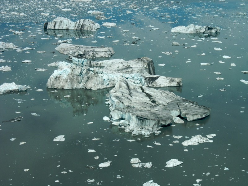 Bering Glacier icebergs - panoramio