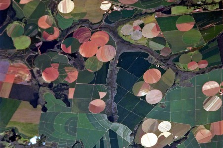 This astronaut photograph illustrates the diverse agricultural landscape in the western part of Minas Gerais state in Brazil. The fields in this image are located south-west of the city of Perdizes, which means вЂњpartridgesвЂќ in Portuguese. A mix of regularly-gridded polygonal fields and circular centre-pivot fields marks the human use of the region. Small streams (and their adjacent floodplains) of the Araguari River extend like fingers throughout the landscape. The visual diversity of the field forms is matched by the variety of crops: sunflowers, wheat, potatoes, coffee, rice, soybeans, and corn are among the products of the region. While the Northern Hemisphere is still in the grip of winter, crops are growing in the Southern Hemisphere, as indicated by the many green fields. Fallow fieldsвЂ”not in active agricultural useвЂ”display the violet, reddish, and light tan soils common to this part of Brazil. Darker soils are often rich in iron and aluminum oxides, and are typical of highly weathered soil that forms in hot, humid climates.