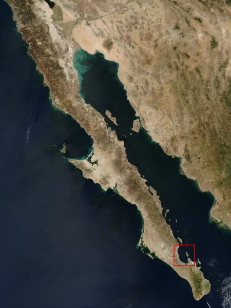 Baja La Paz (mexico) 250m