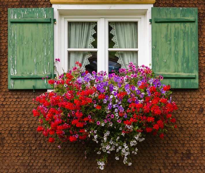 2013 09 18 002 Fenster mit Blumenkasten