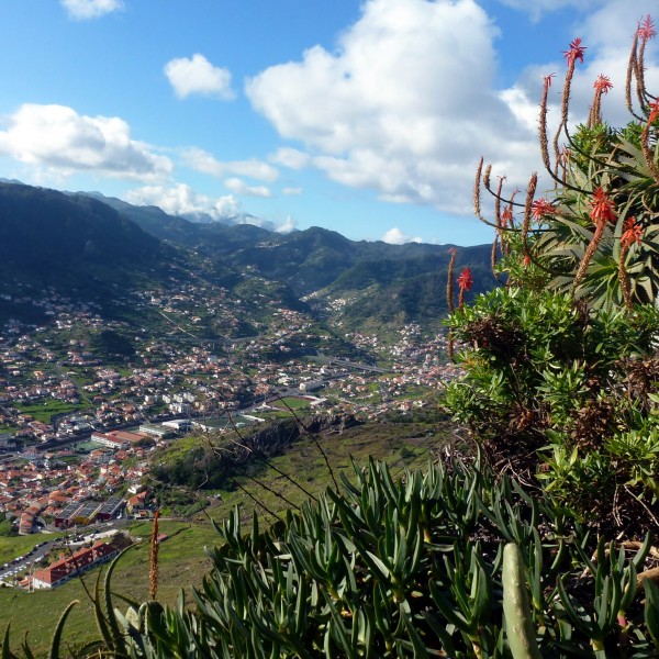 Machico, Madeira - 2013-01-11 - 86138942