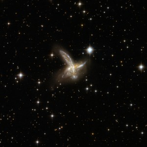 ESO 593-8 is an impressive pair of interacting galaxies with a feather-like galaxy crossing a companion galaxy. The two components will probably merge to form a single galaxy in the future. The pair is adorned with a number of bright blue star clusters. ESO 593-8 is located in the constellation of Sagittarius, the Archer, some 650 million light-years away from Earth.