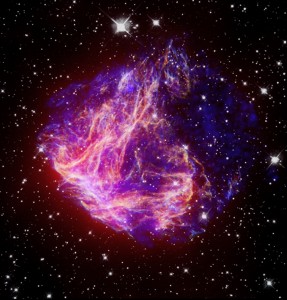 Stellar Debris in the Large Magellanic Cloud