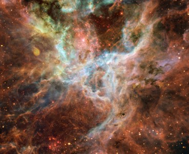 Central portion of the Tarantula Nebula. 
