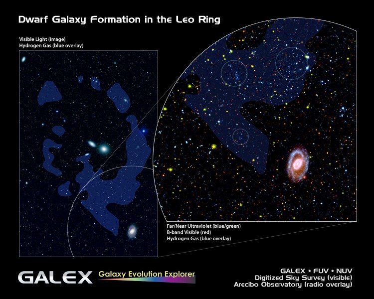 Dwarf Galaxy Formation in the Leo Ring