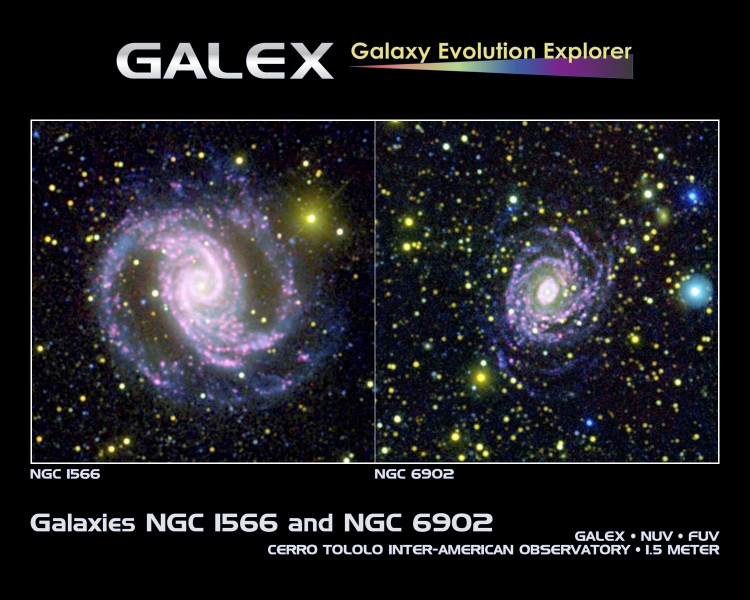 Galaxies NGC 1566 and NGC 6902