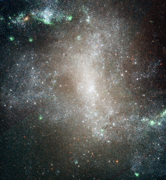 NGC 1313 HST