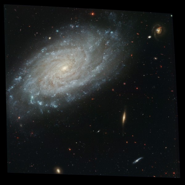 NGC 3370 Hi