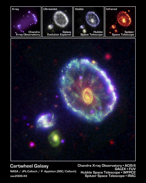 The Cartwheel Galaxy in Multiple Wavelengths