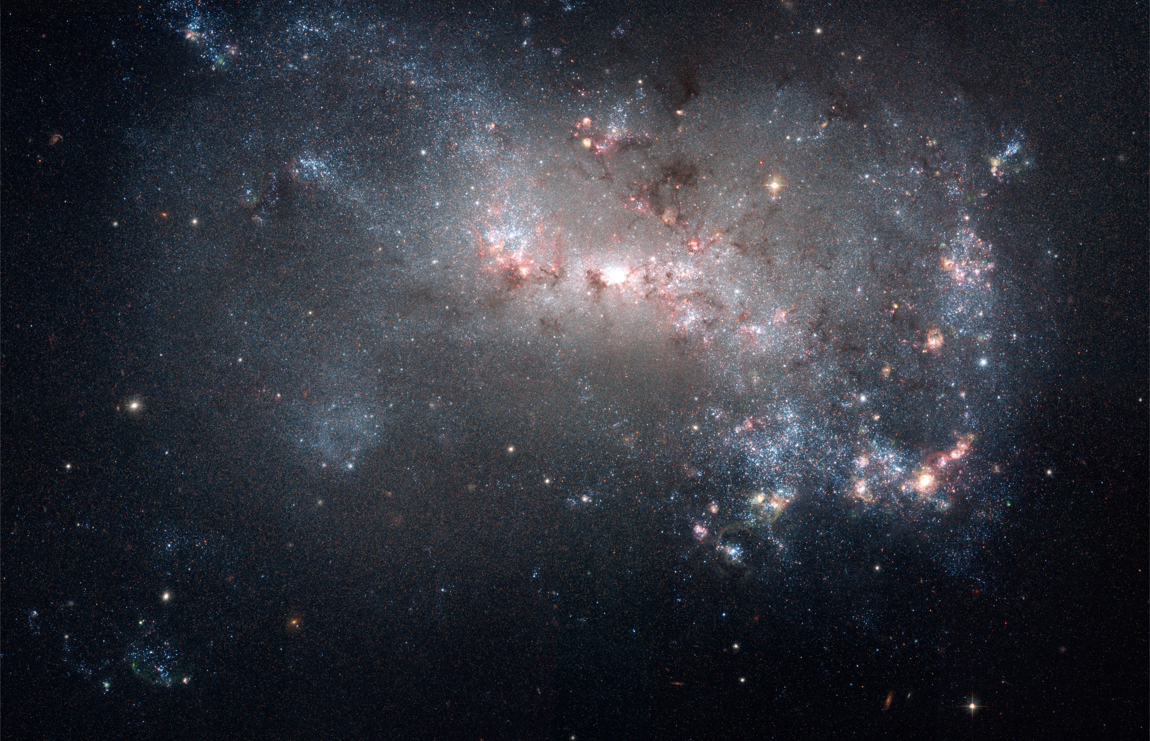Starburst in NGC 4449 (captured by the Hubble Space Telescope)