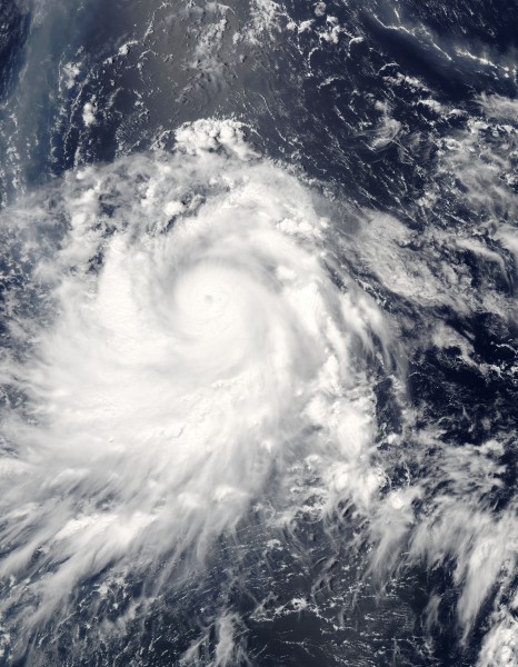 TyphoonNesat2005