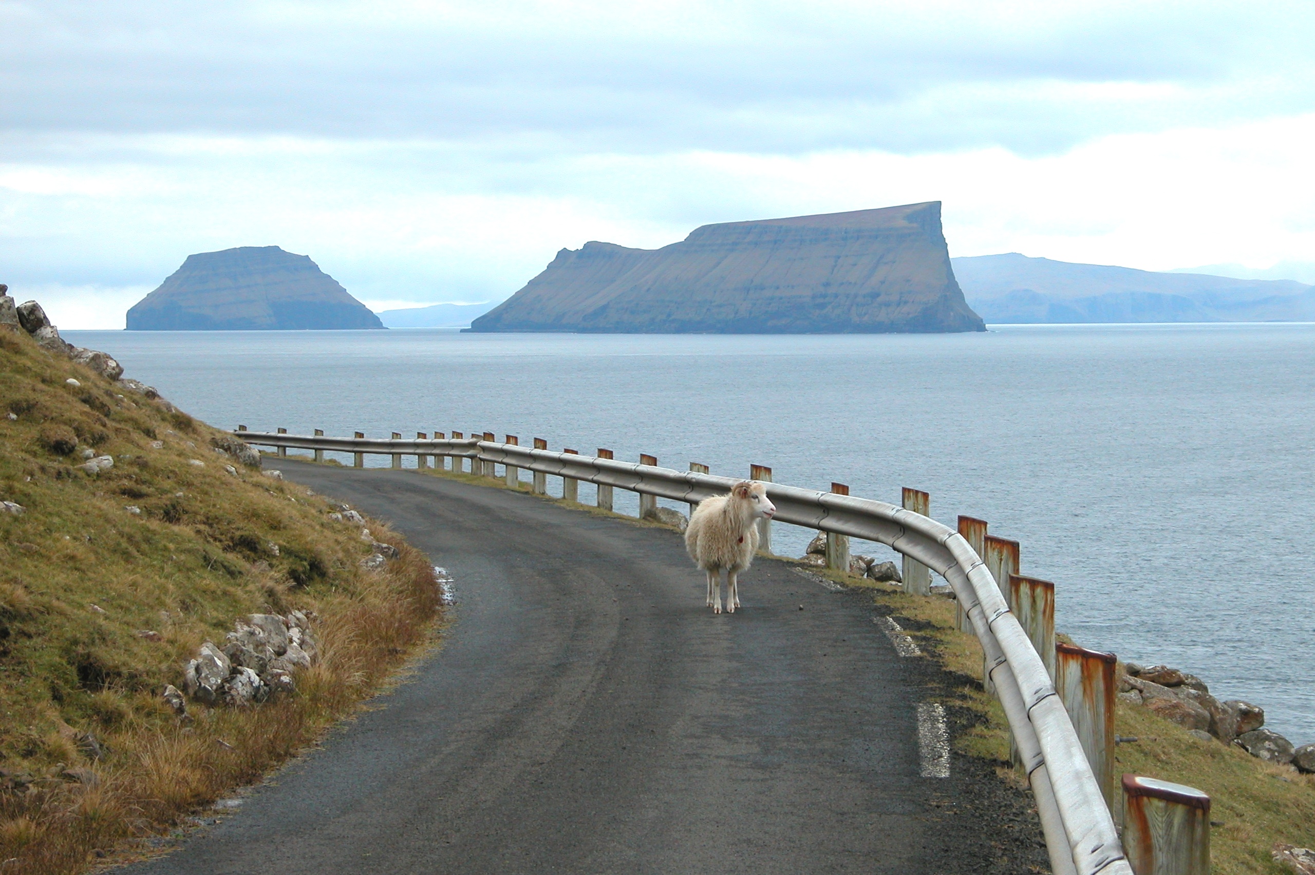 Skarvanes, Faroe Islands (2)