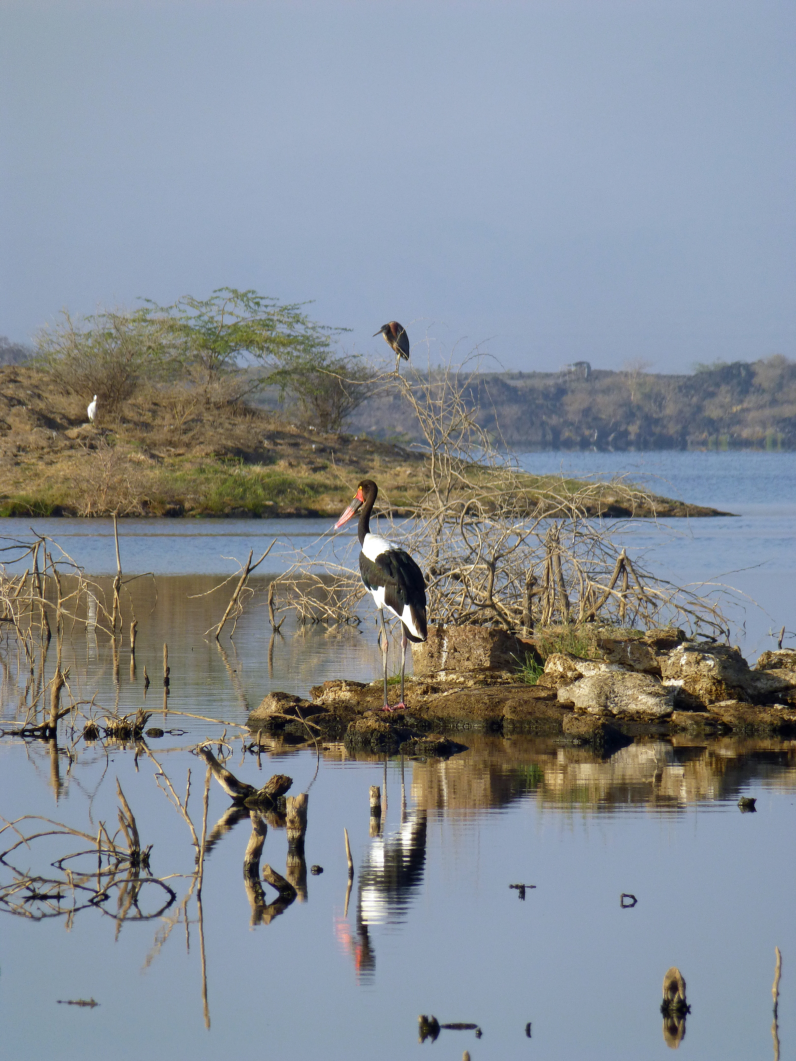 Ethiopie-Lac Basaka (14)