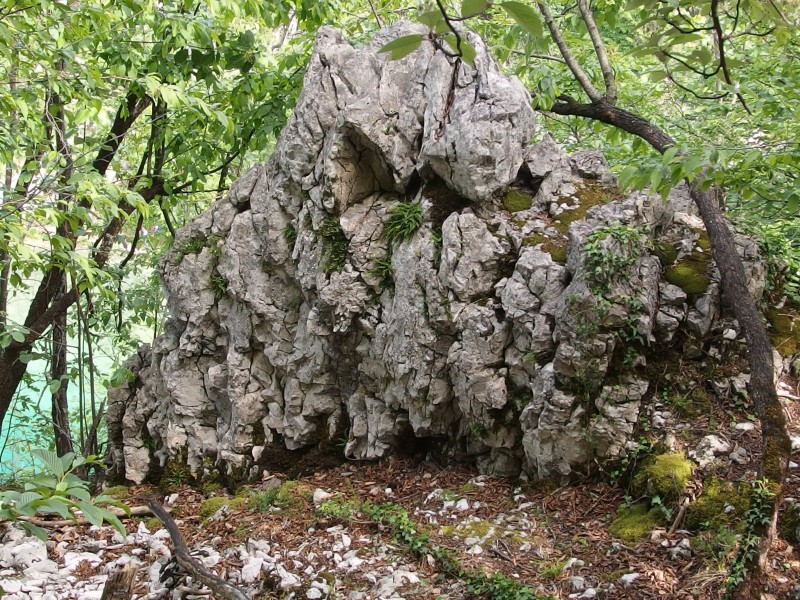 20130608 Plitvice Lakes National Park 294