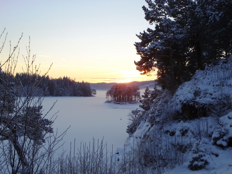 Ånøya in the winter (05)