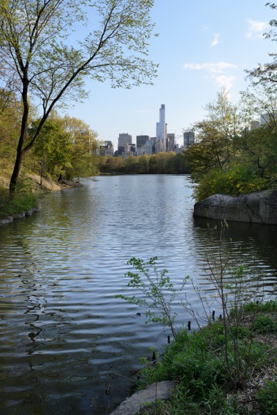Central Park New York May 2015 006