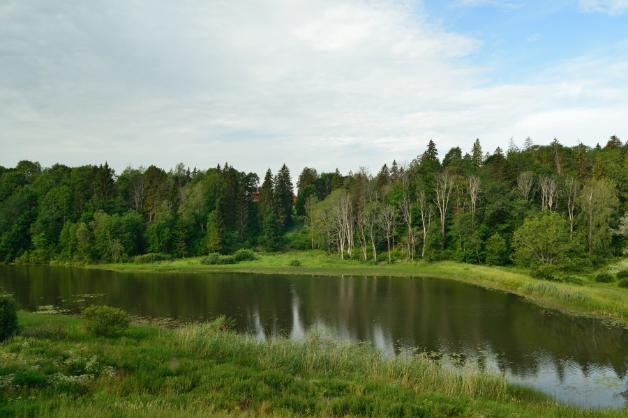 Linnaveski järv (Halliste jõgi)