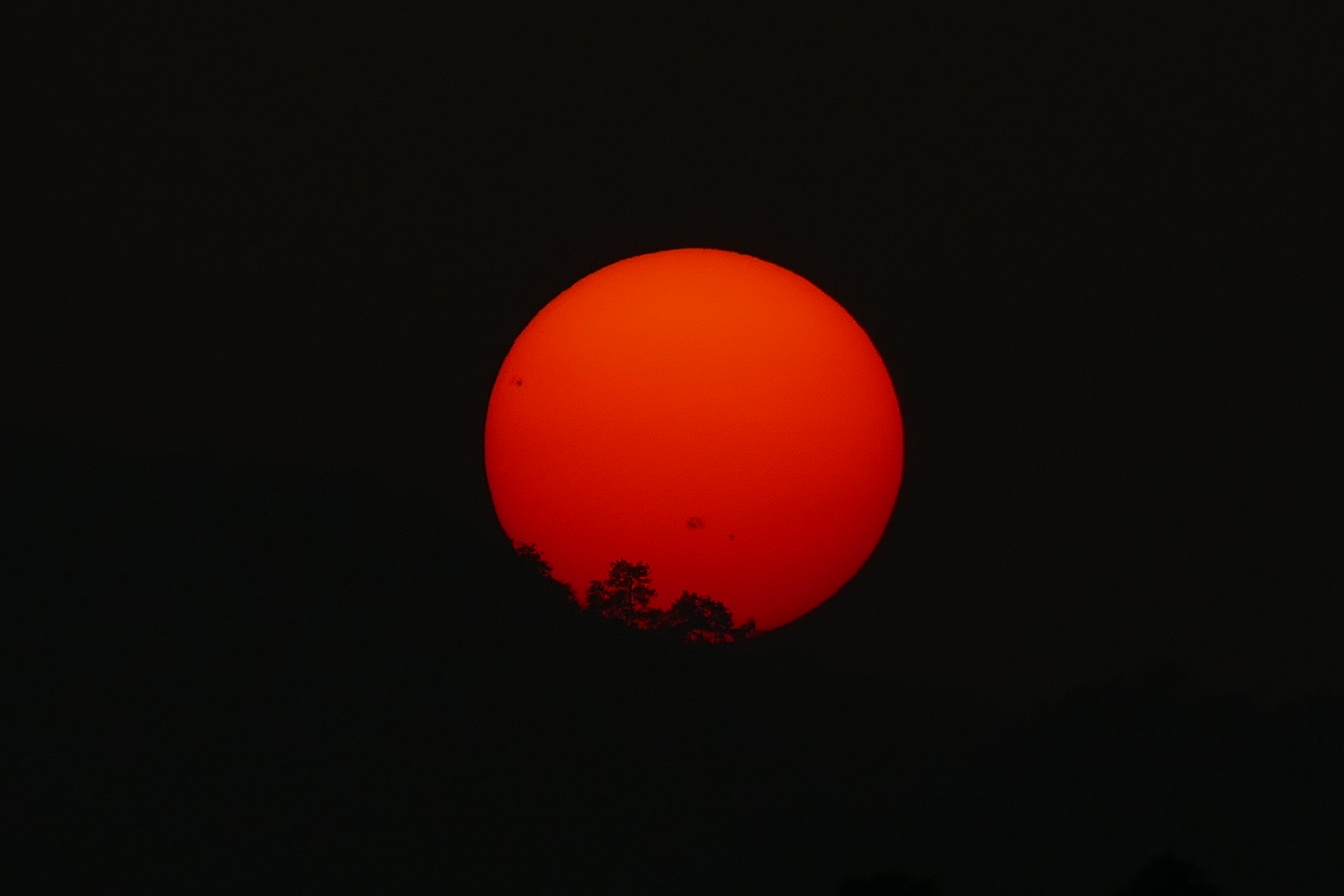 2014.11.21.164448 Tree silhouettes sunspots sunset Xihu Hangzhou