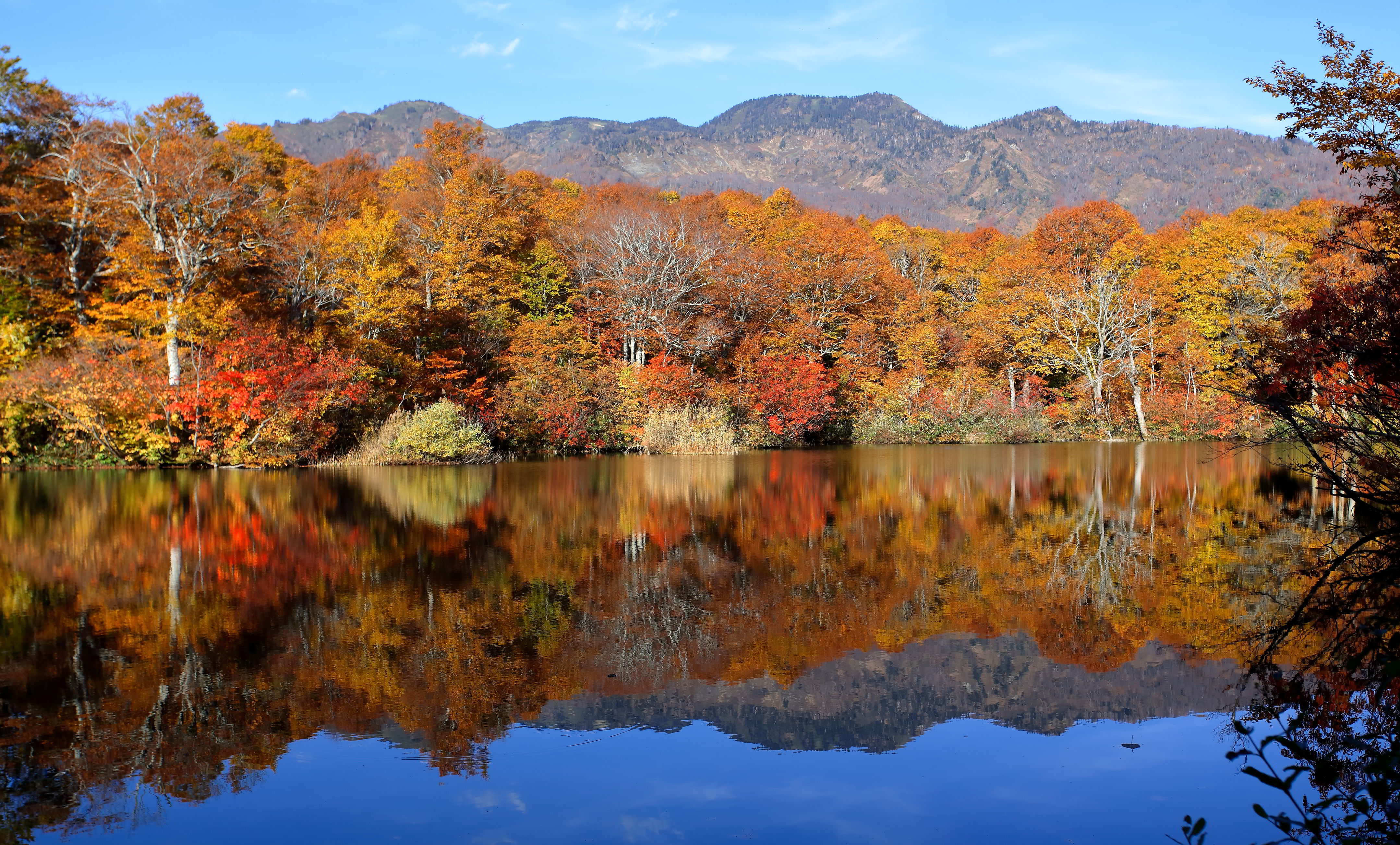 Fall colours in Otari, Japan