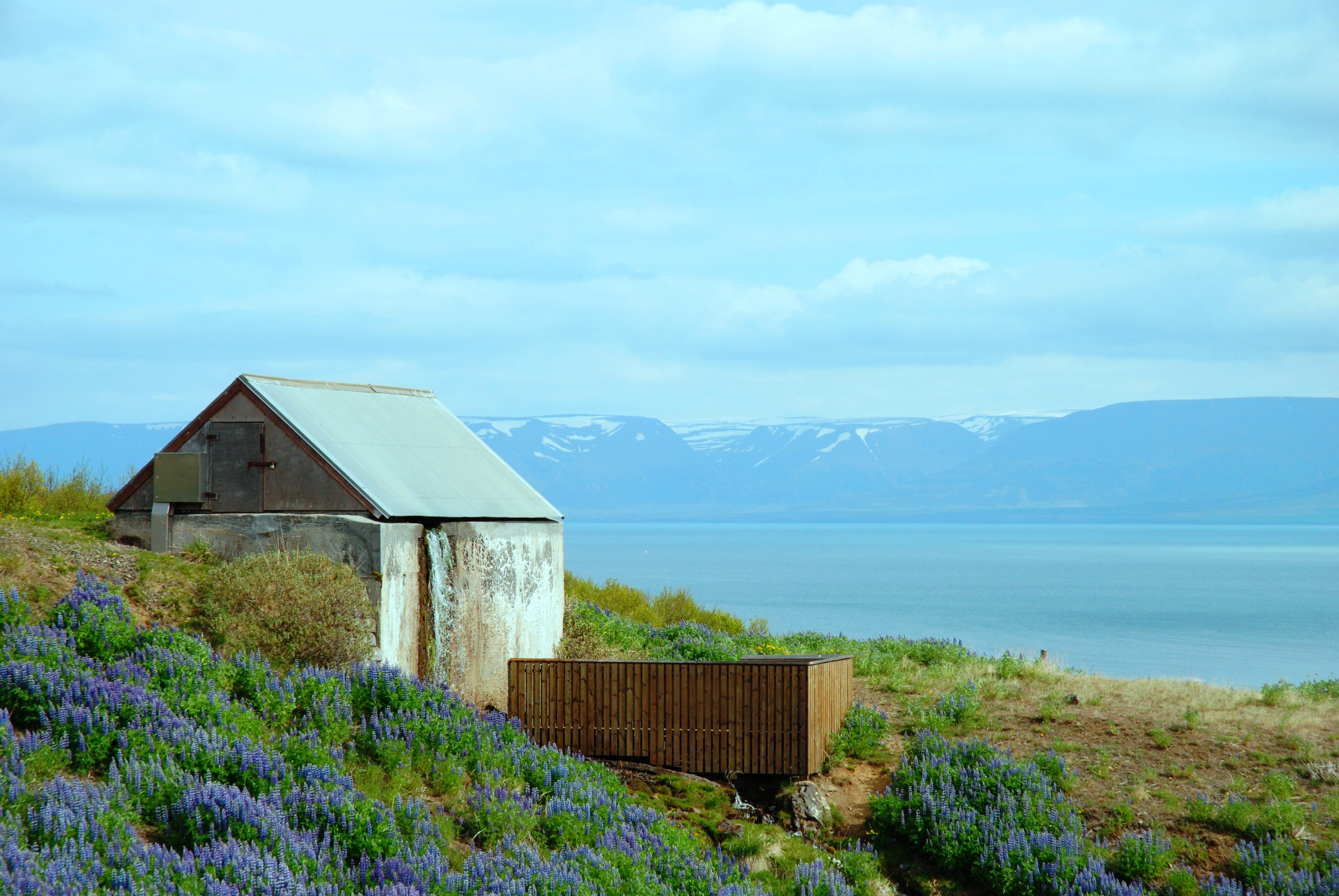 Island, Silje Bergum Kinsten (1)