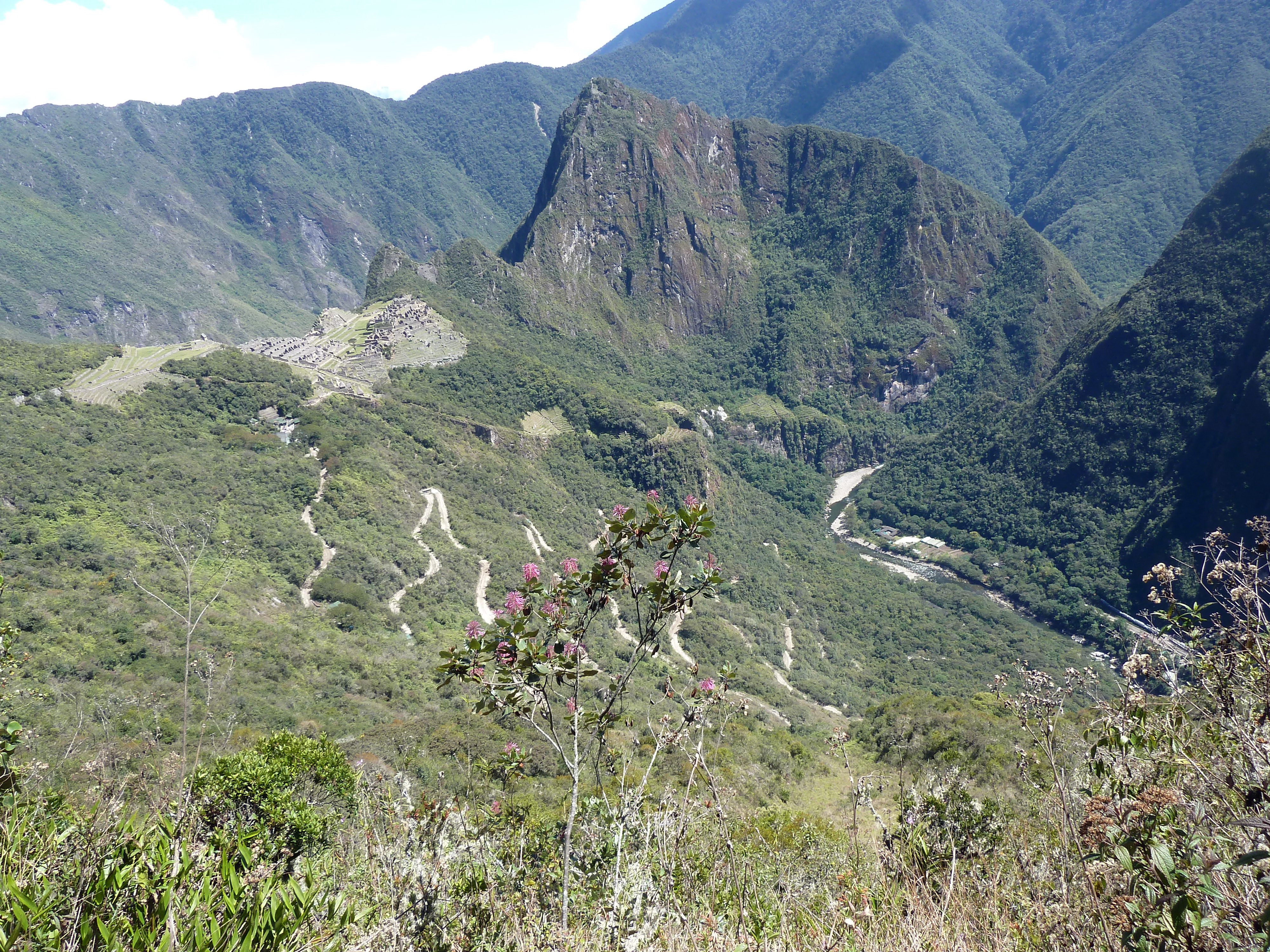 Machu Picchu, Peru-21Sept2013 (15)