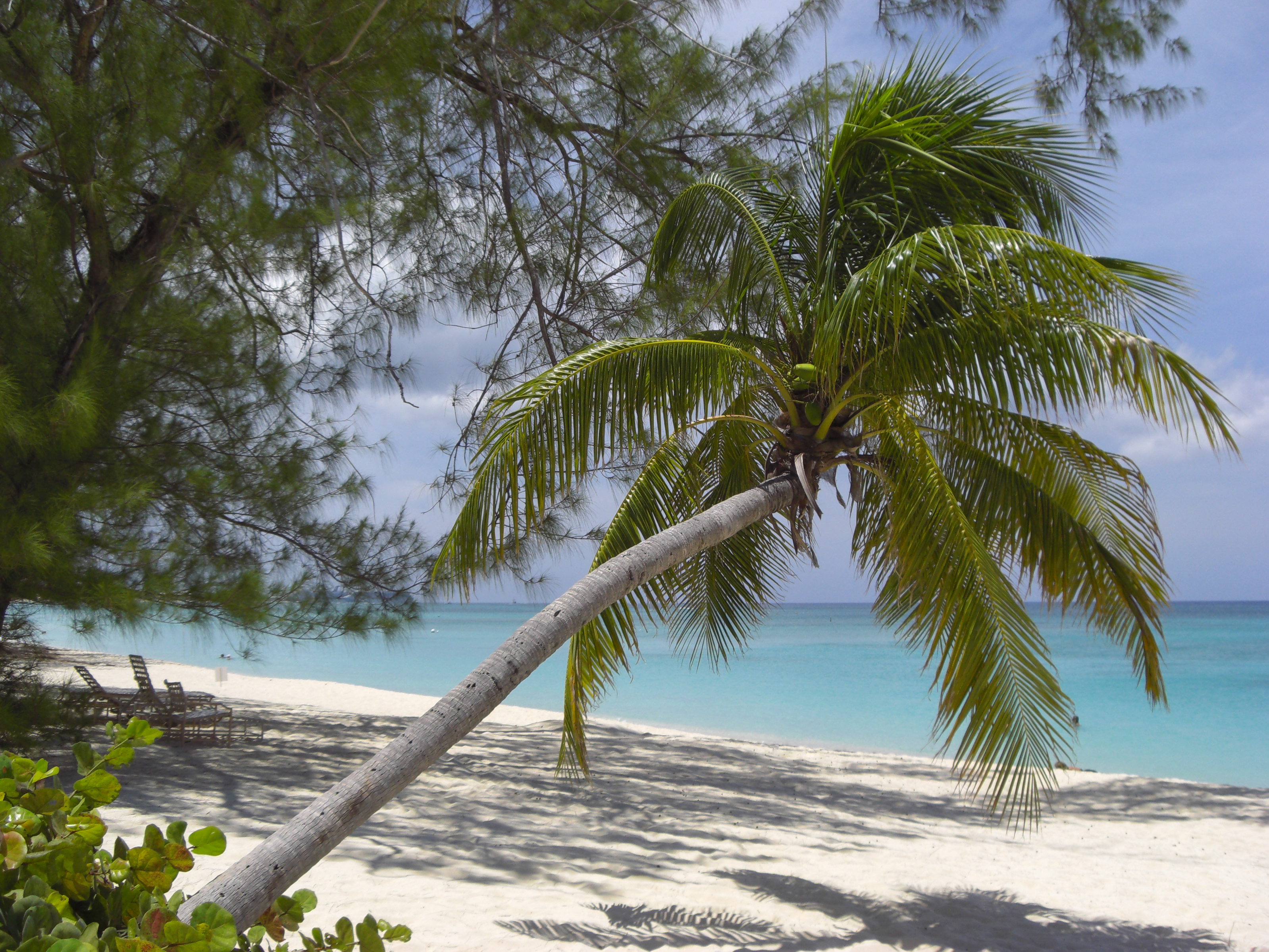 Playa de Gran Caimán-Islas Caimán03
