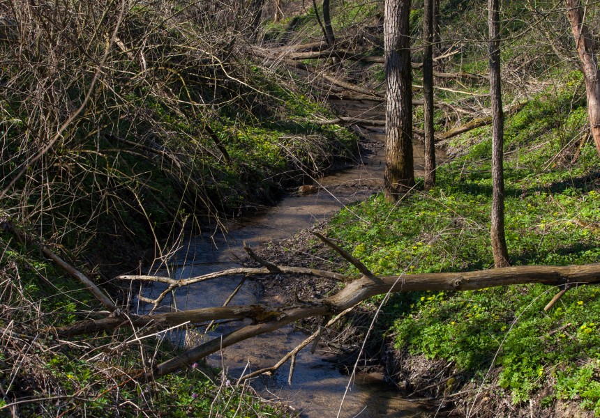 a streamlet in Lviv region of Ukraine in March 2014, picture 4/5