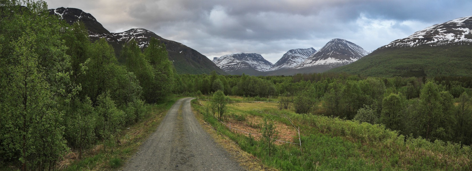 Balsfjordeidet landscape, 2011 June