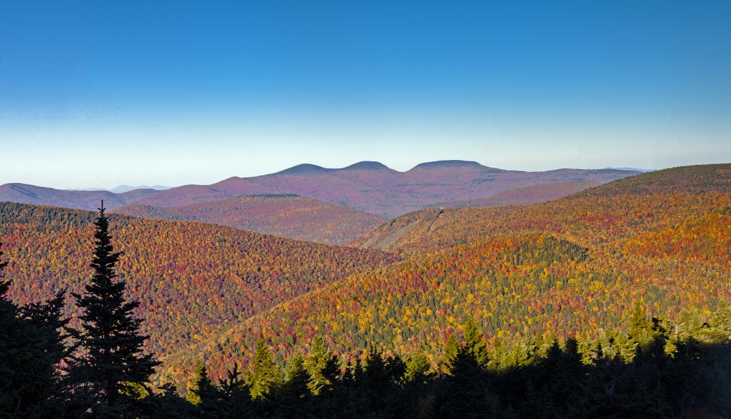 Blackhead Range from Buck Ridge Lookout in autumn