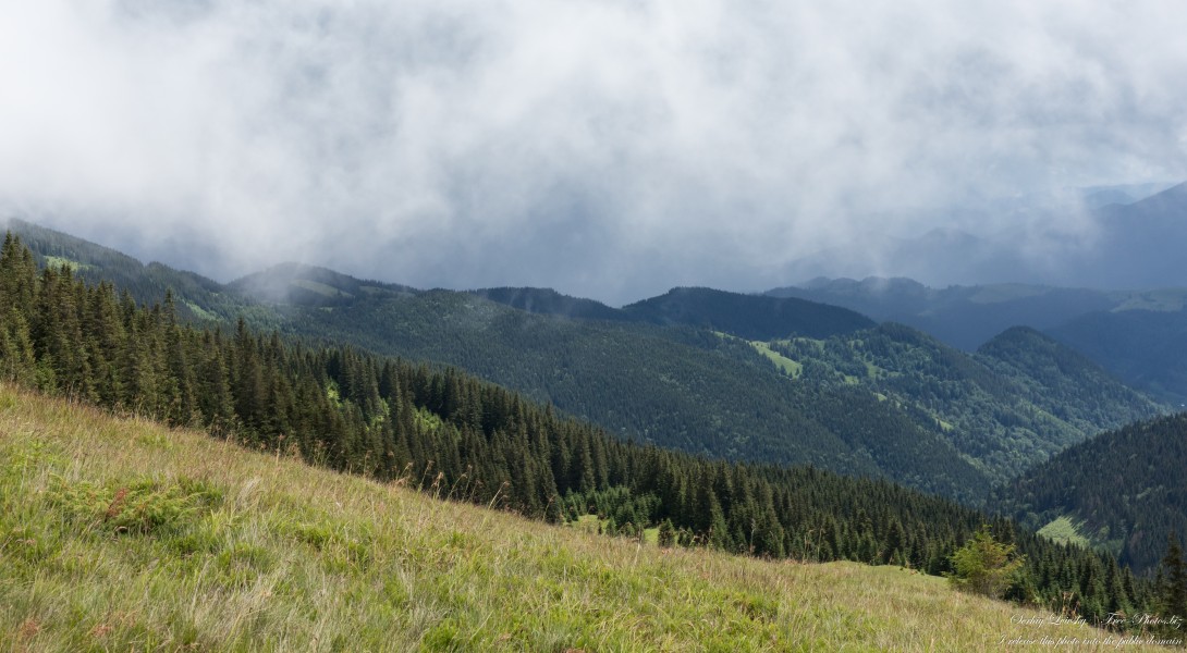 Carpathian mountains in Ukraine photographed in July 2022 by Serhiy Lvivsky, picture 18
