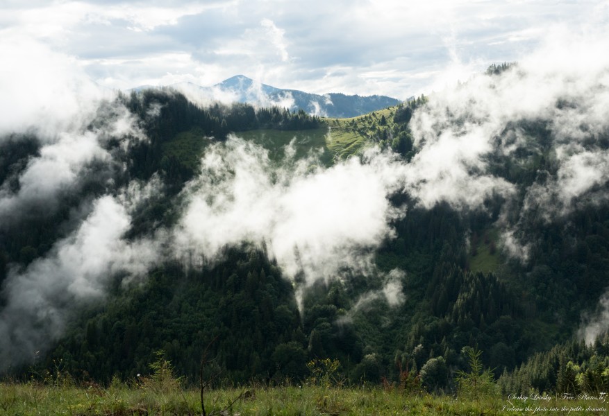 Carpathian mountains in Ukraine photographed in July 2022 by Serhiy Lvivsky, picture 28