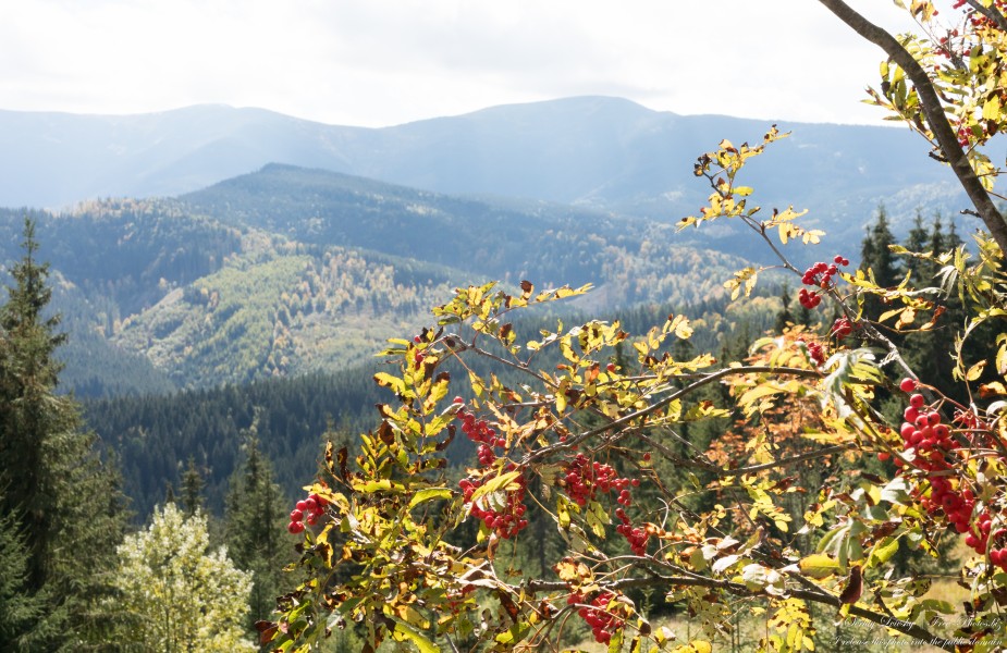 Carpathians in Ukraine in September 2022 photographed by Serhiy Lvivsky, picture 85