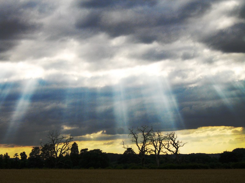 Crepuscular rays with clouds and high contrast fg FL