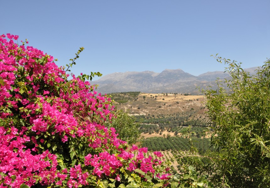 Crete Landscape R02