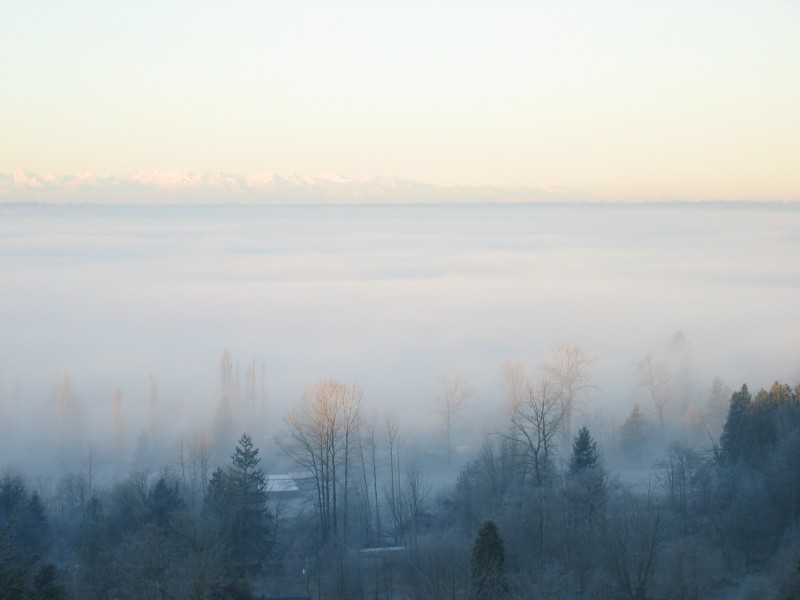 December Fog 01