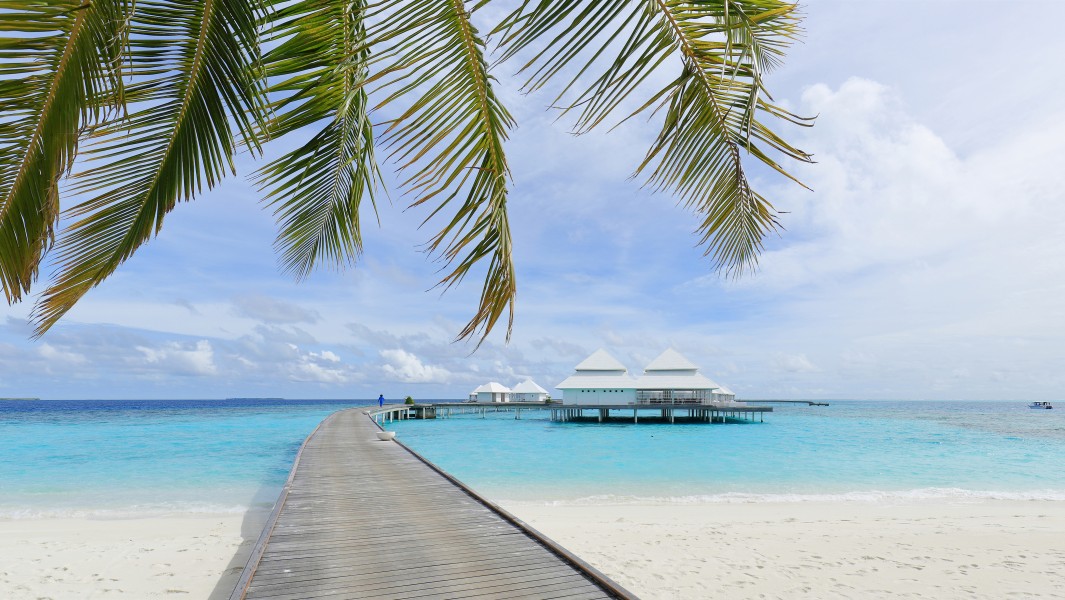 Diamonds Thudufushi Beach and Water Villas, May 2017 -09