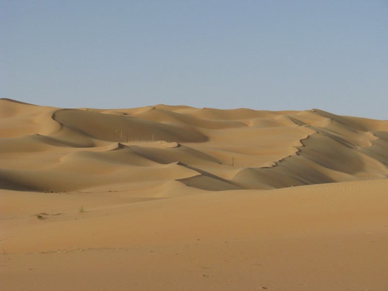 Dune crests (4184937421)