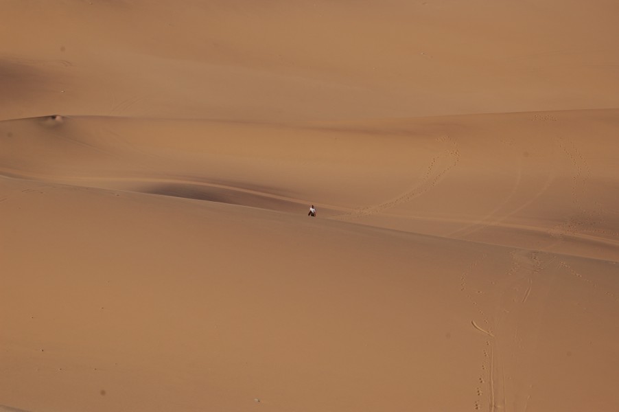 Dunes, Swakopmund (3068181129)