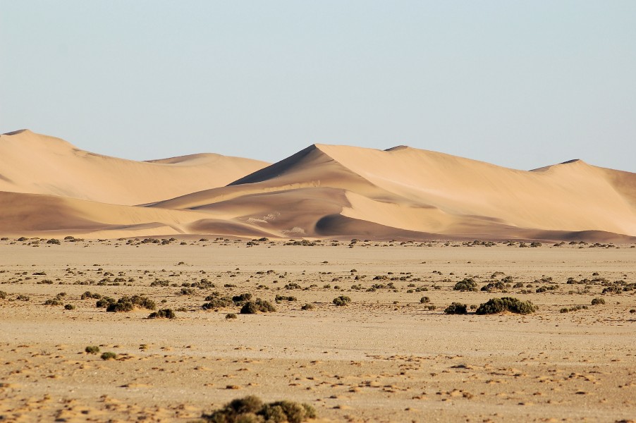 Dunes close to Swakupmund, Namibia (2817851931)