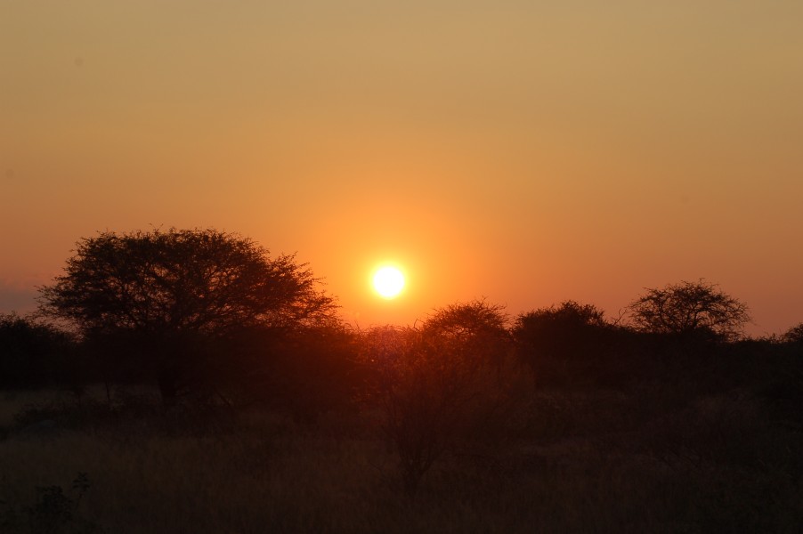 Etosha National Park, Namibia (2852710385)