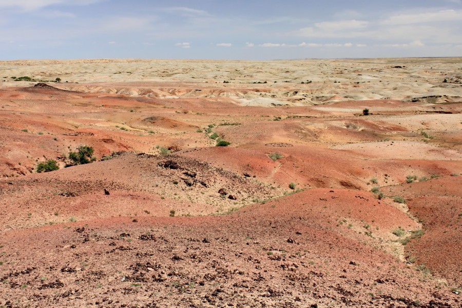 Gobi, krajobraz pustyni (23)