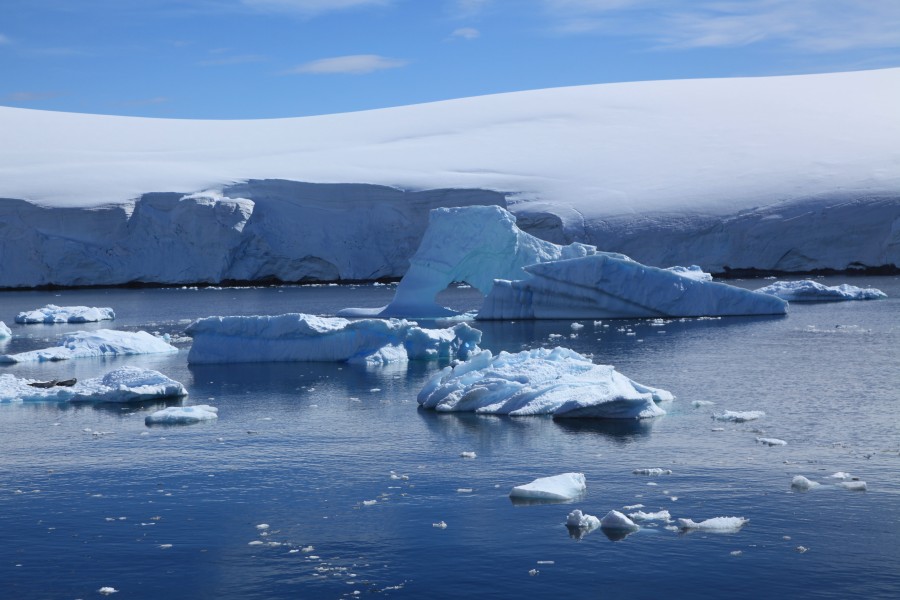 Icebergs in the Lemaire Channel, Antarctica (6062797372)