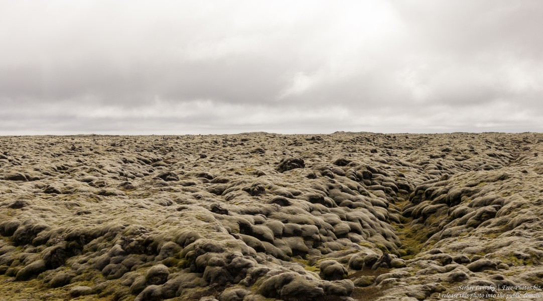 Iceland photographed in May 2019 by Serhiy Lvivsky, picture 6