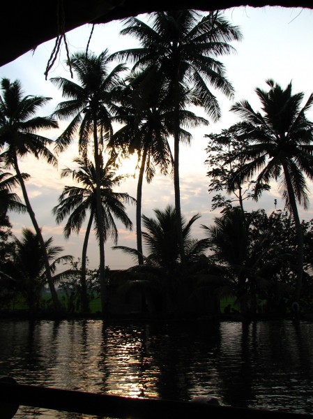India - Kerala - 016 - sunset through the palms (2068508221)