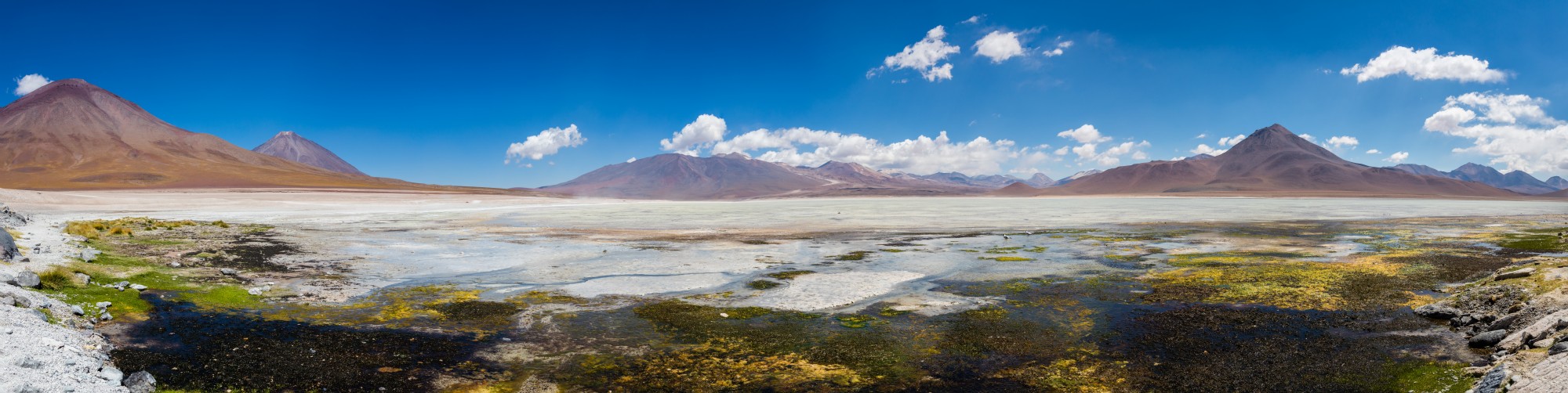 Laguna Blanca, Bolivia, 2016-02-02, DD 25-29 PAN