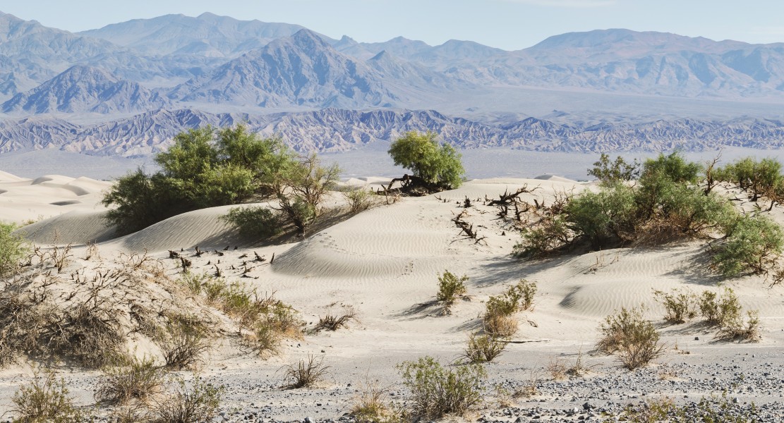 Landscape near Mesquite Flat Sand Dunes Morning 2013